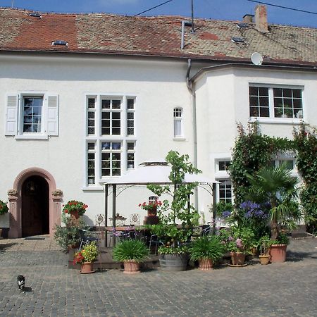 Bio-Weingut, Gaestehaus Und Kraeuterhof Flomborn エクステリア 写真