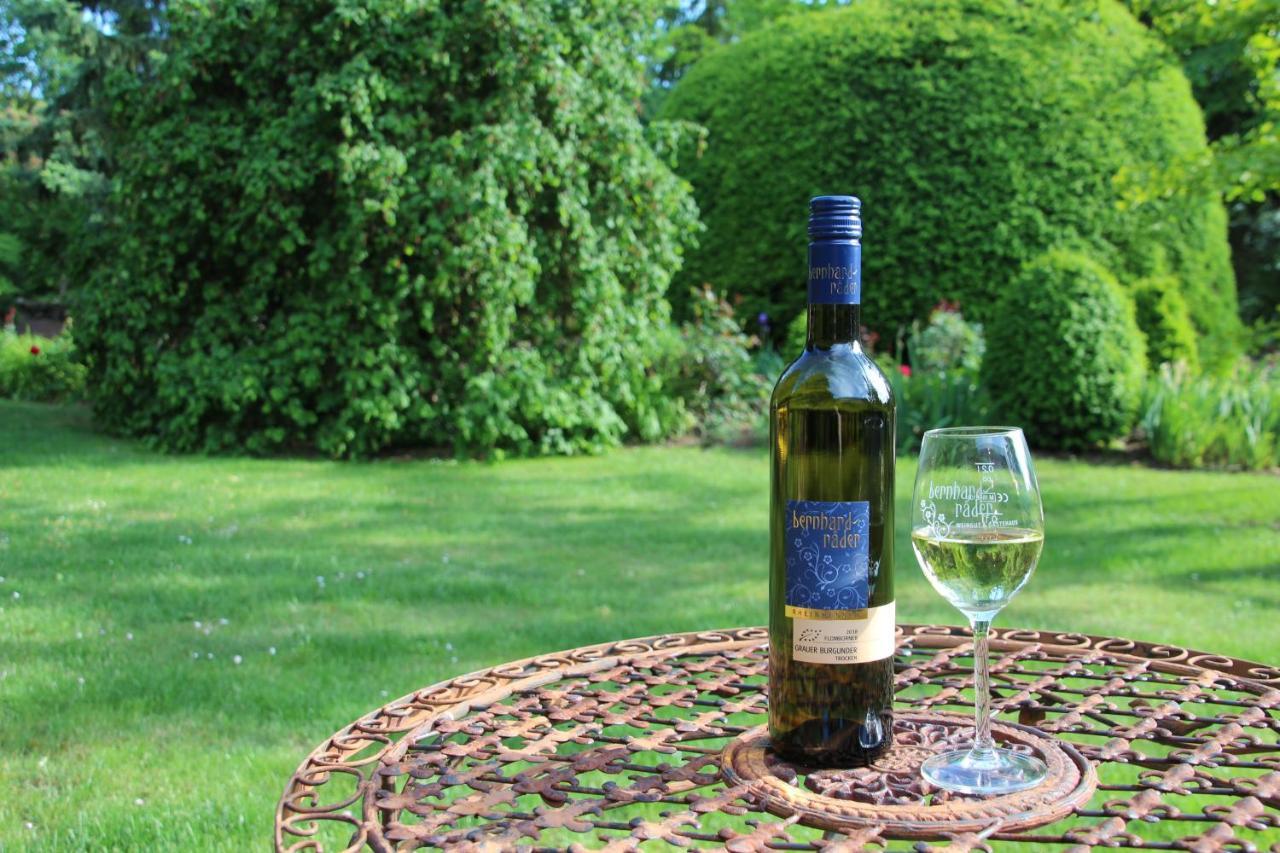 Bio-Weingut, Gaestehaus Und Kraeuterhof Flomborn エクステリア 写真