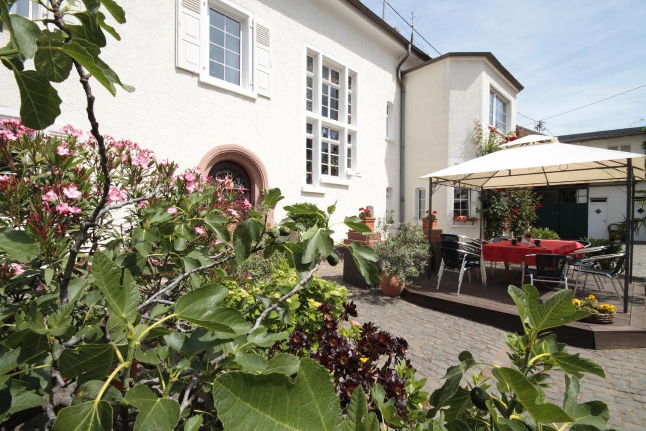 Bio-Weingut, Gaestehaus Und Kraeuterhof Flomborn エクステリア 写真