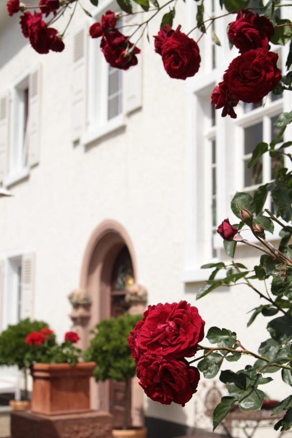 Bio-Weingut, Gaestehaus Und Kraeuterhof Flomborn エクステリア 写真