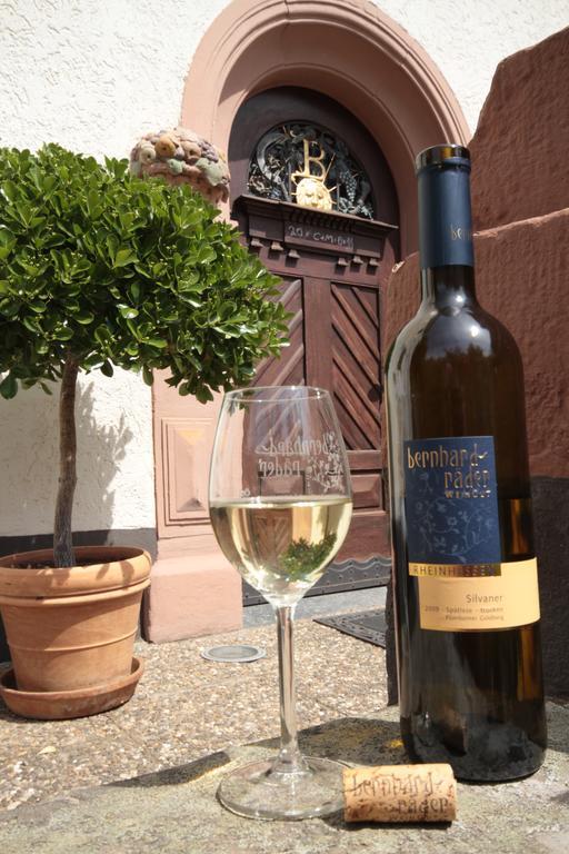 Bio-Weingut, Gaestehaus Und Kraeuterhof Flomborn エクステリア 写真